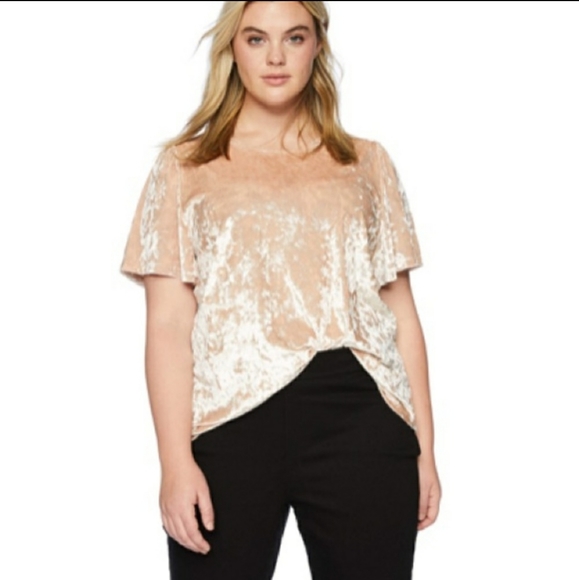 Lucky Brand Tops - Lucky Top Velvet Blouse SOFT Blush Pink 1X Plus